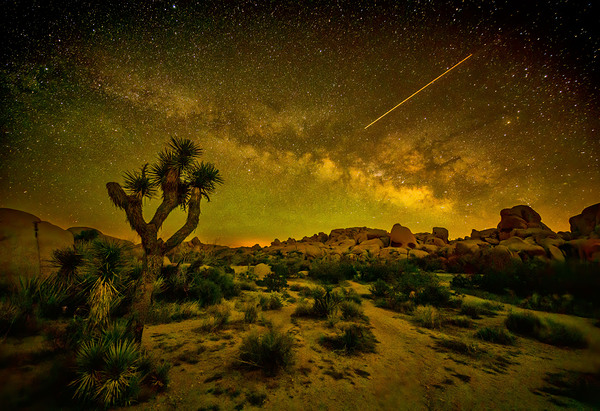 Joshua Tree Milky Way by Danny Ritchey Photography
