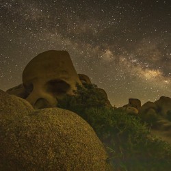 Joshua Tree Skull Rock and Milky Way