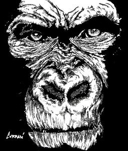 Gorilla Face 2