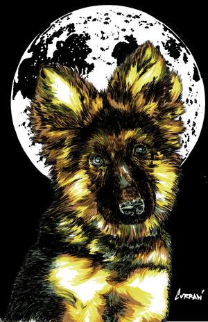 German Sheppard Puppy 1 Final