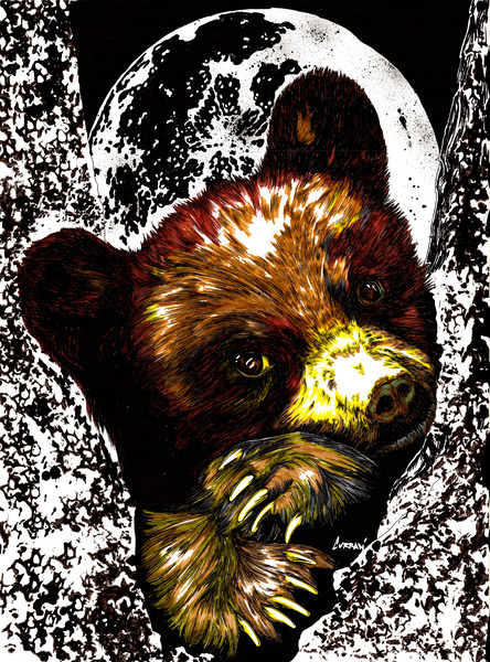 Bear Cub by Kris Curran
