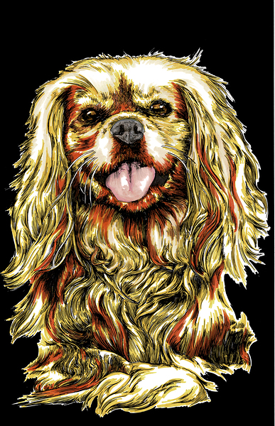 King Charles by Kris Curran