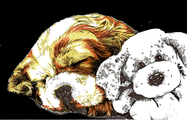 King Charles Puppy by Kris Curran