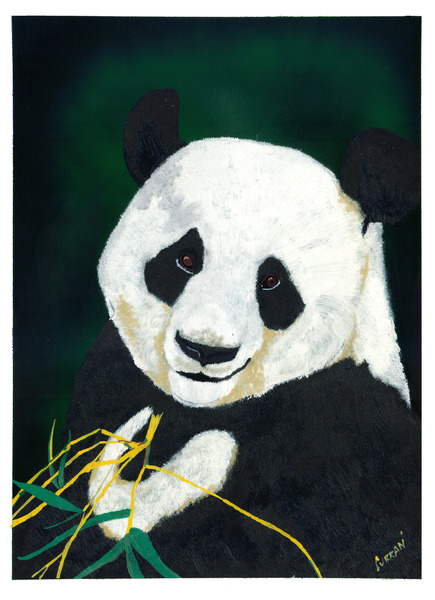 Panda by Kris Curran