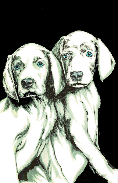 Puppy 3 by Kris Curran