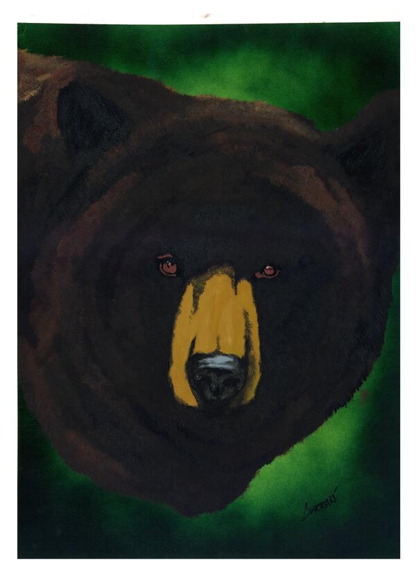 Bear by Kris Curran