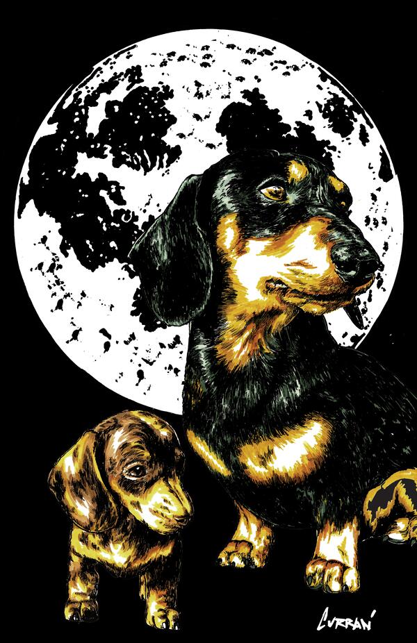 Dachshund Final by Kris Curran