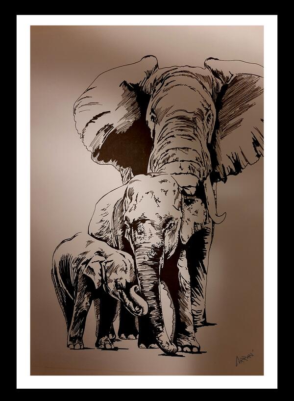 Elephant 3 by Kris Curran