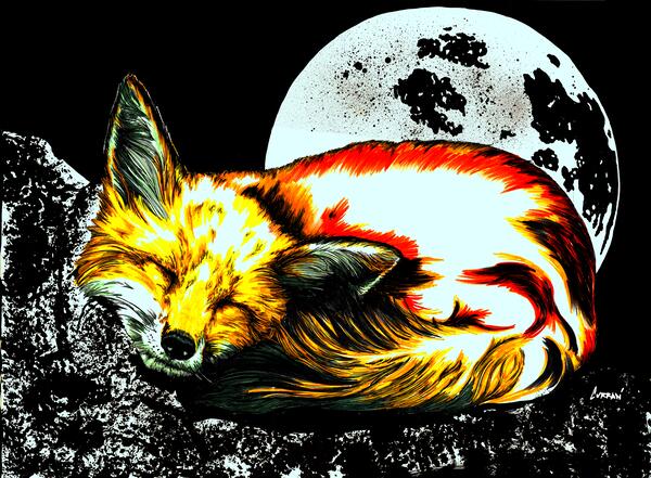 Red Fox by Kris Curran