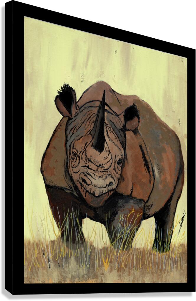 Rhino Canvas Print