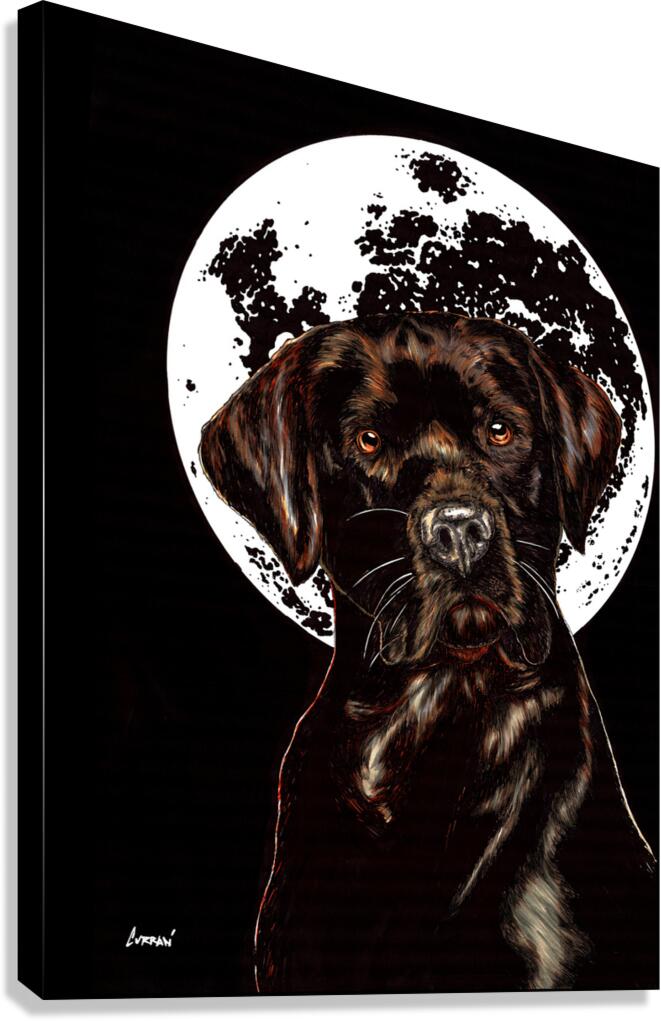 Labrador Canvas Print
