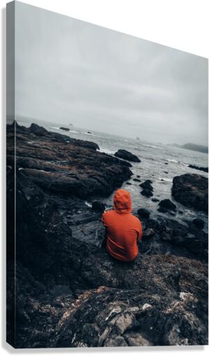 Solitude Canvas Print