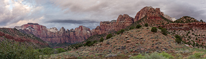 Zion Panorama Towers of The Virgin