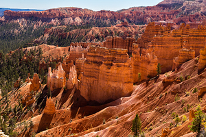 Bryce Canyon Lit by Late Afternoon Sun