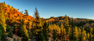 Blue Sky at Red Canyon