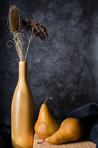 Bosc Pears and Dead Flowers Still Life