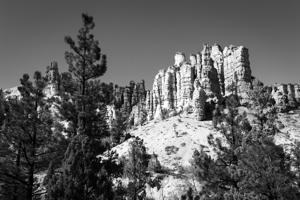 Bryce Canyon Beauty in Black and White