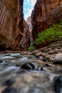Hiking the Zion Narrows