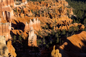 Light and Shadow on The Hoodoos of Bryce