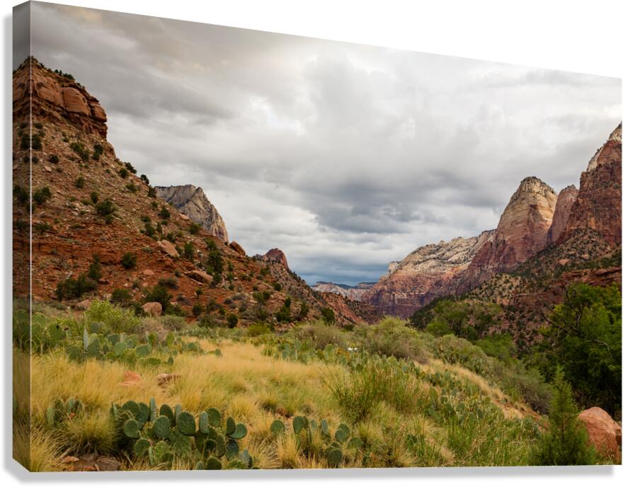 Prickly Pear and Sandstone Zion National Park Canvas Print
