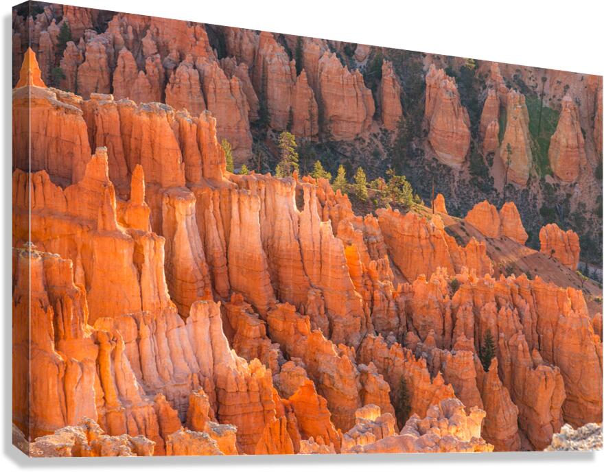 Bryce Canyon National Park Hoodoos Canvas Print