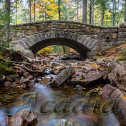 Hadlock Brook Bridge Acadia Text Overlay