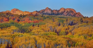 AUTUMN SHOWCASE-1
