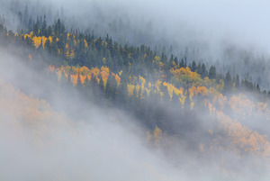 AUTUMN EPITAHANY  2