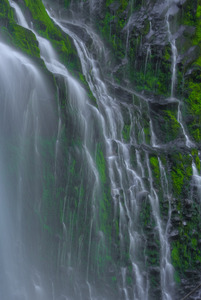 FLOWING GRACE