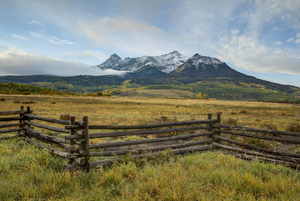 MORNING GLORY AT MOUNT SNEFFELS