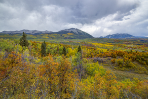 MOUNTAINS OF ASPENS