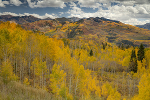 McClure Pass 2