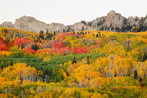 Paradise In Crested Butte