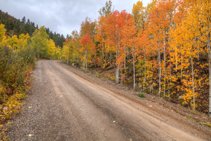 The Road To Color