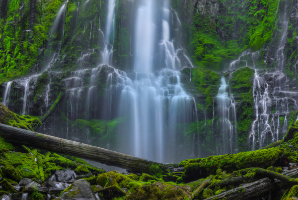 AN  ENCOUNTER WITH PARADISE by Bill Sherrell