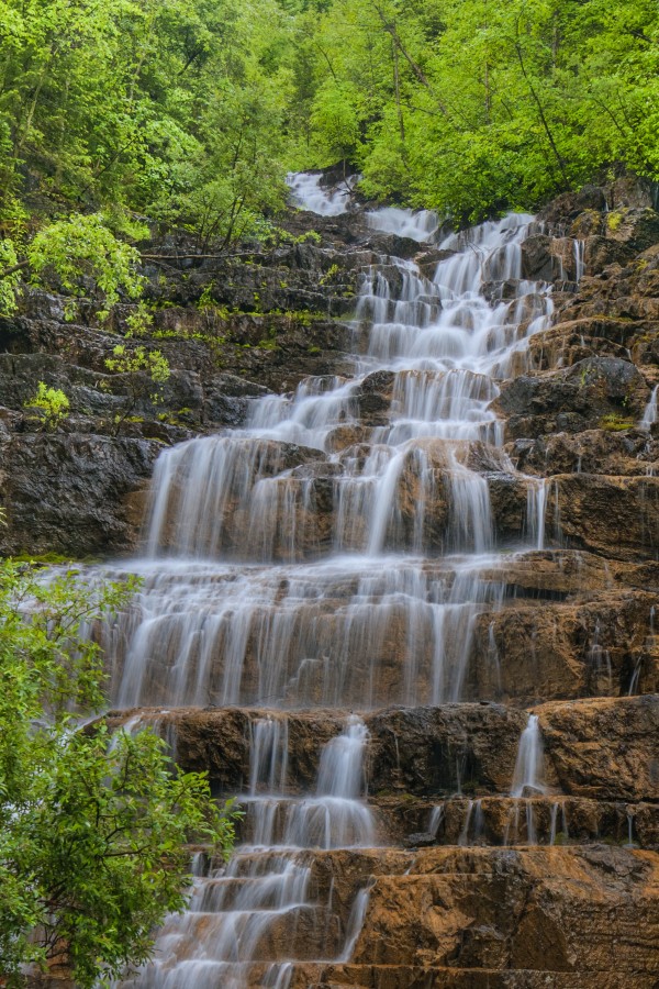 FLOWING GRACE Print