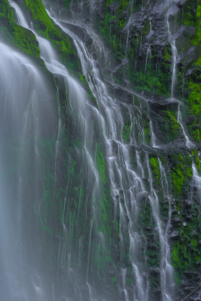 FLOWING GRACE Print