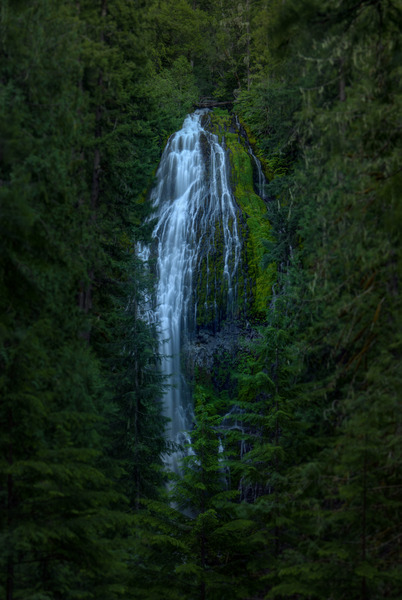 FOCUS ON PROXY FALLS Print