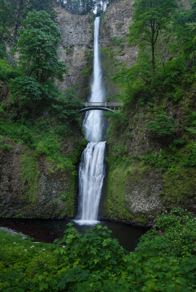 MULTNOMAH FALLS Print