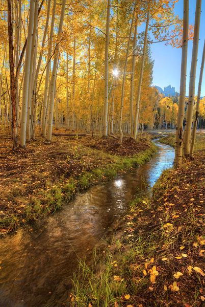 Meandering Brook Print