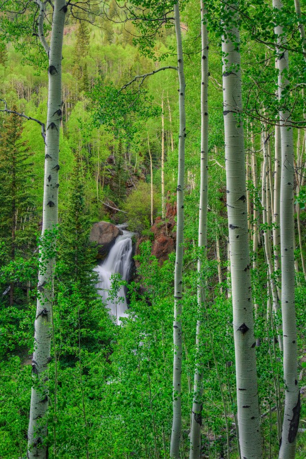 WILDERNESS FALLS Print