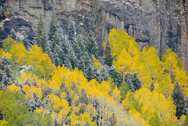 When Seasons Collide Print