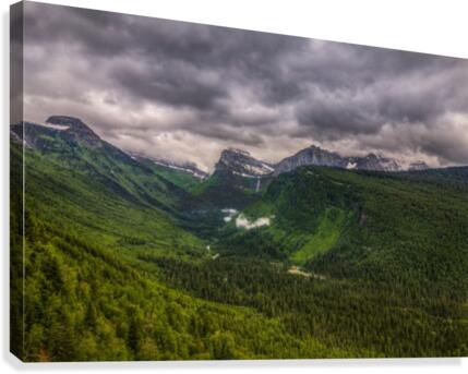 GOING GREEN Canvas Print