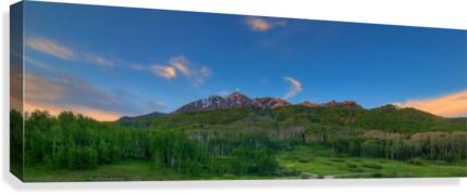 GREEN SERENITY Canvas Print