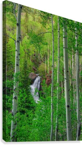 WILDERNESS FALLS Canvas Print