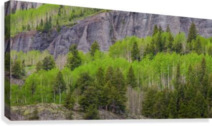 GREEN DREAM Canvas Print