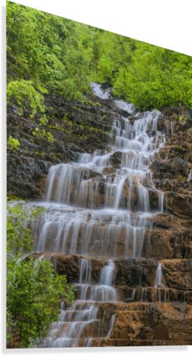 FLOWING GRACE Canvas Print