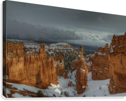 STORMY SUNLIGHT Canvas Print