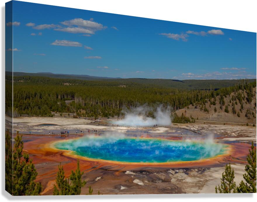 Grand Prismatic Spring Canvas Print