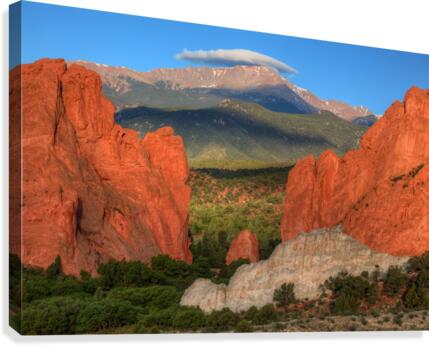 GLOWSOFT Canvas Print